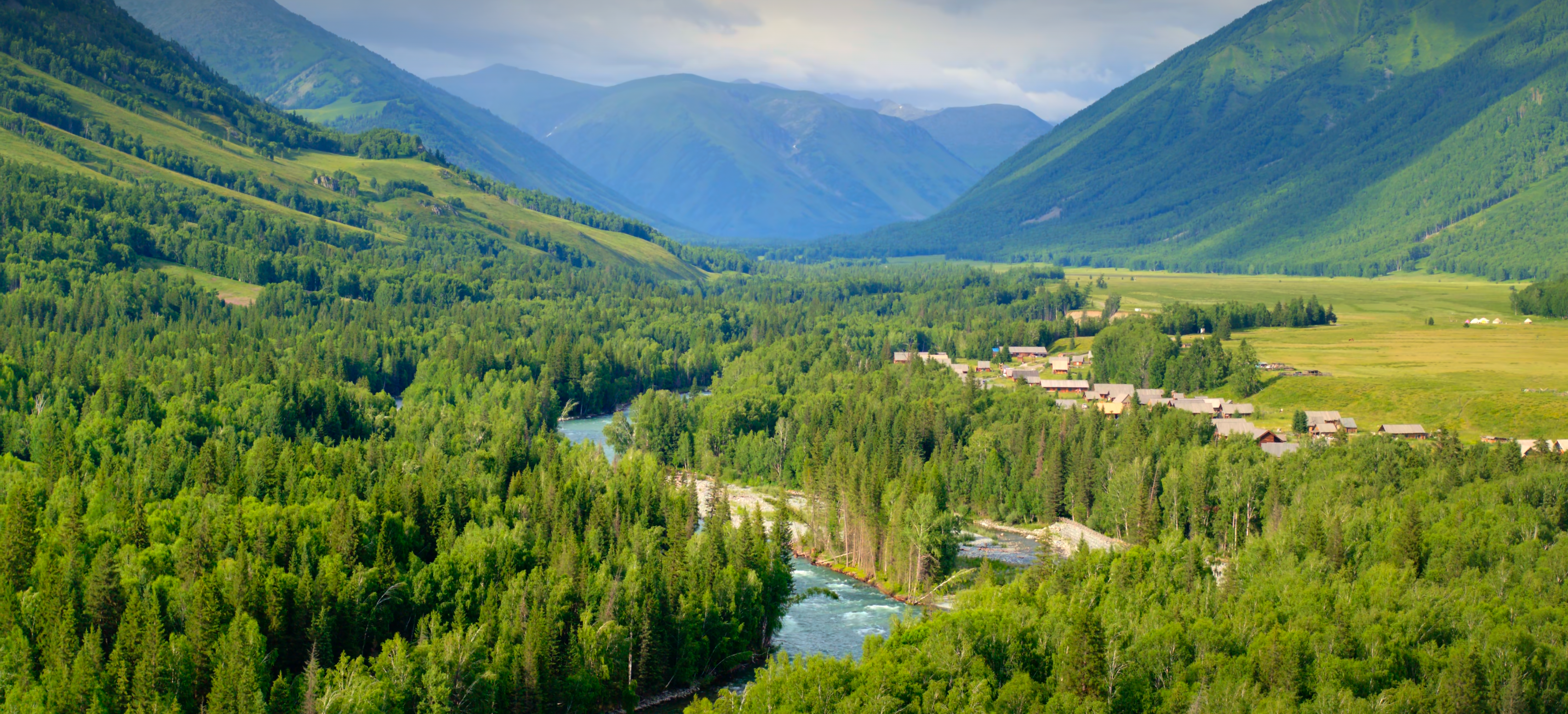 large picture of the cover